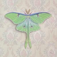 Luna Moth by EMILY UCHYTIL