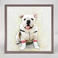 Best Friend - The Bulldog Mini Framed Canvas by CATHY WALTERS