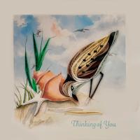 Sandpiper S0738f by QUILLING CARD