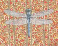 Dragonfly by EMILY UCHYTIL