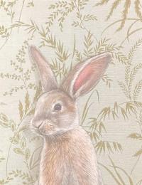 Rabbit Note Card by EMILY UCHYTIL