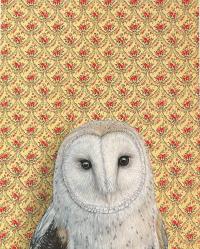 Barn Owl (Framed 11x14) by EMILY UCHYTIL