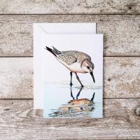 Sandpiper Card by TJ HEISER