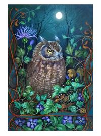 Owl by MASALA CARDS