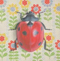 Ladybug White by EMILY UCHYTIL