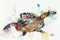 Sea Turtle by DEAN CROUSER