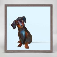 Best Friend - The Dachshund Mini Framed Canvas by CATHY WALTERS