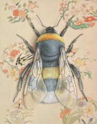 Bumblebee (Framed 8x10) by EMILY UCHYTIL