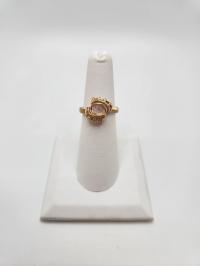 Petite Pulse 14K Gold Fill Moonstone Ring by RYAN EURE