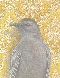 Catbird Note Card by EMILY UCHYTIL