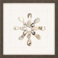 Oyster Shell I by 