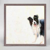 Best Friend - Peeking Border Collie Mini Framed Canvas by CATHY WALTERS