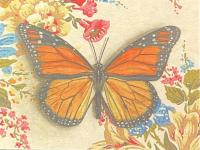 Monarch Butterfly Note Card by EMILY UCHYTIL